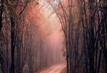 NG体育:范乔丹37分火箭灭热火9连胜 阿门18+9+5+7维金斯.