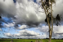 2025年“青少年公益年会杯”大湾区棒垒球邀请赛开赛3-24 15:44.