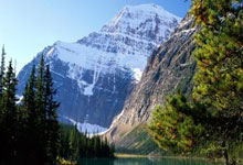 NG体育:想签皇马哪位球员?厄德高:维尼修斯是世界最佳,选他很自然.