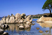 新一期中国男足国家队大名单公布.